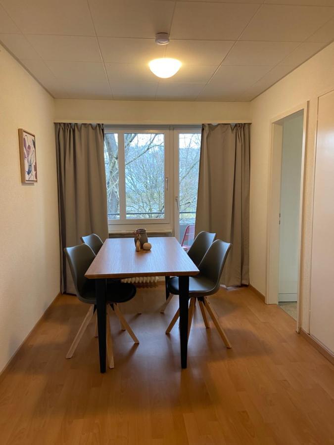 Comfort 1 And 2Bdr Apartment Close To Zurich Airport Екстер'єр фото